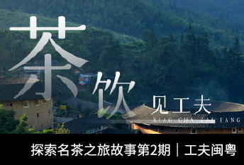 小茶栽堂探索名茶之旅系列故事第2期|工夫闽粤