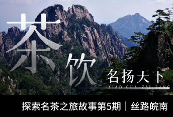 小茶栽堂探索名茶之旅系列故事第5期|丝路皖南