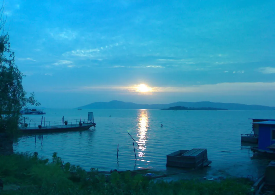 小茶栽堂致味·江浙选品地——苏州·太湖洞庭山