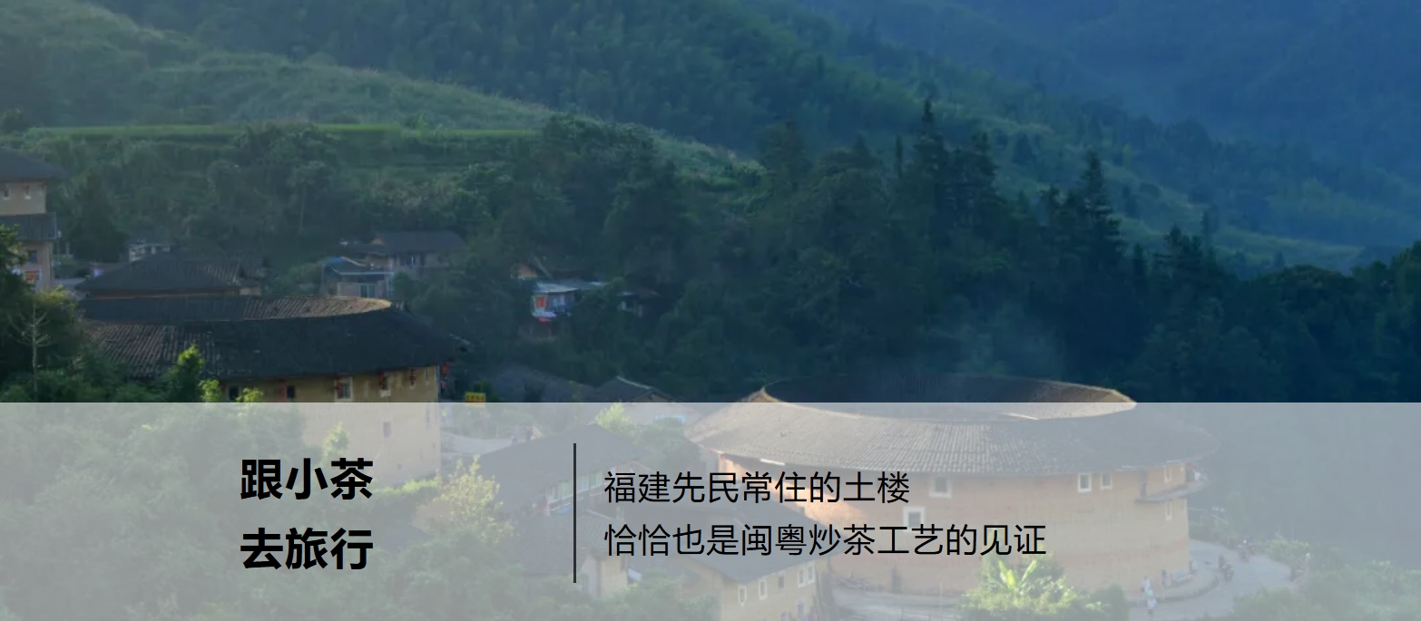 小茶栽堂工夫·闽粤选品地——福建·安溪